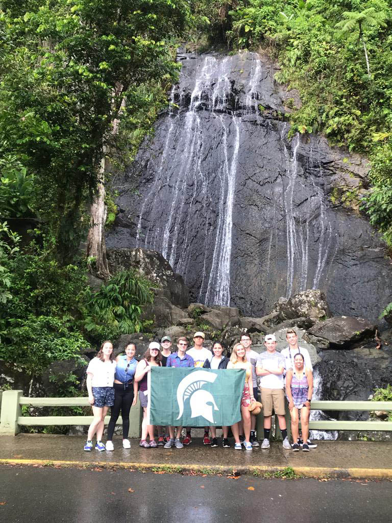michigan state university in el yunque rainforest, puerto rico, summer 2019